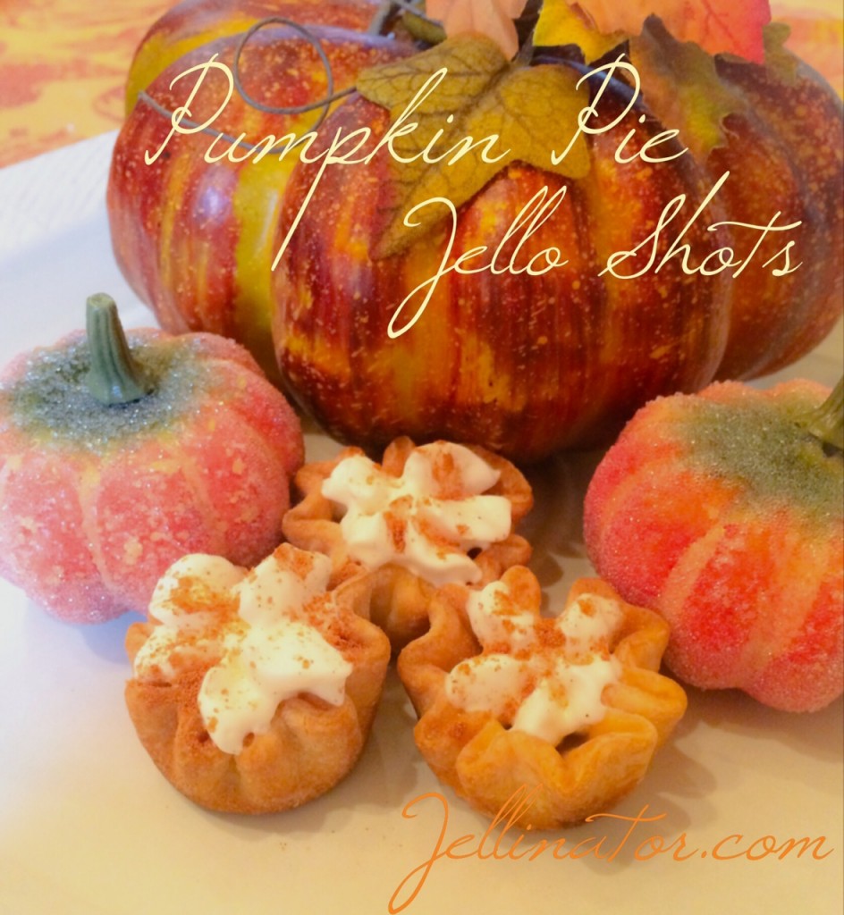 Pumpkin Pie Jello Shots - Jellinator.com