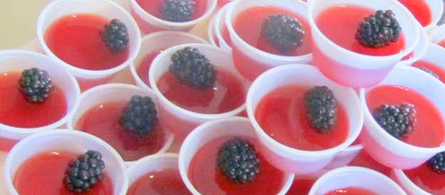 recipe-header-berrymelon