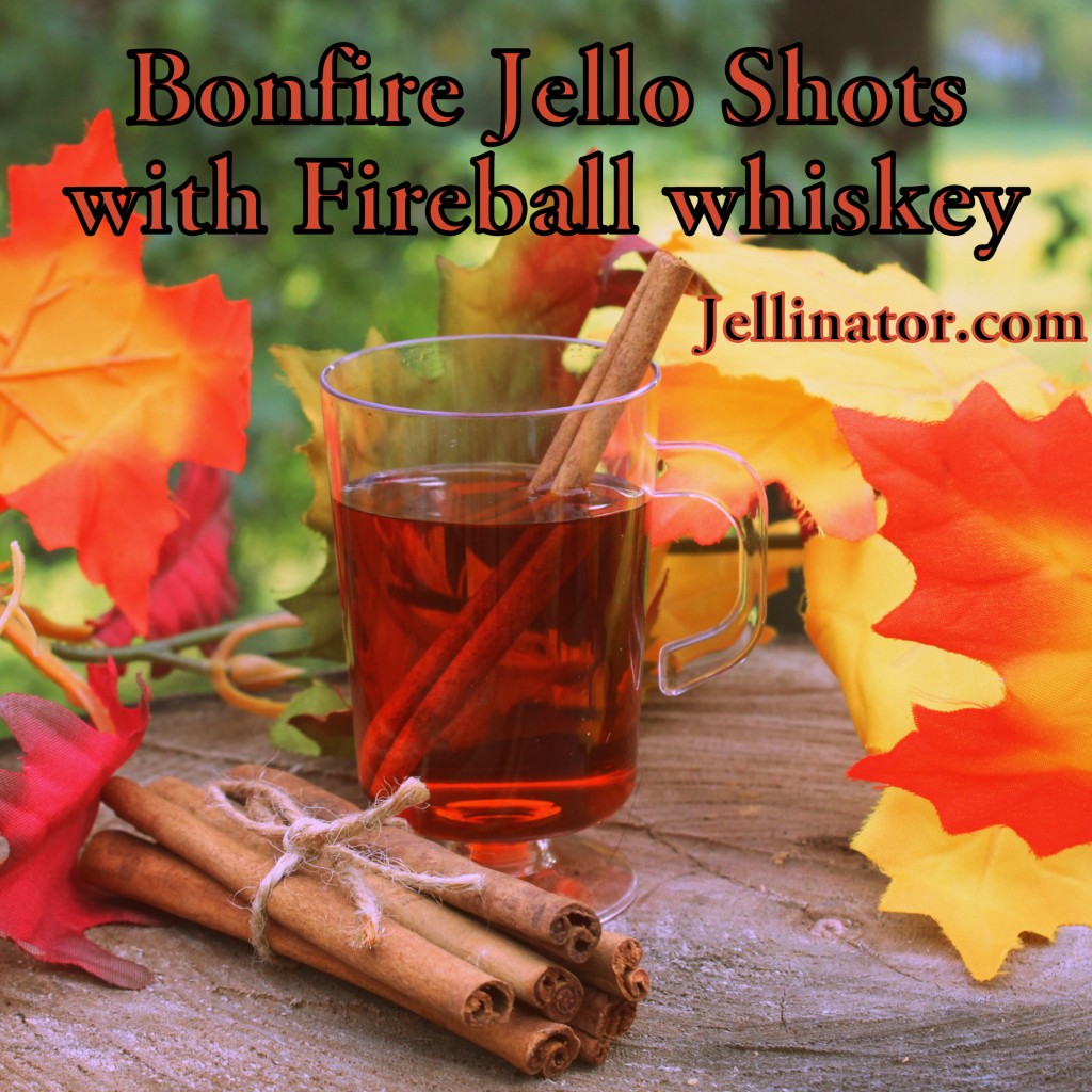 Bonfire Jello Shots with Fireball whiskey - Jellinator.com